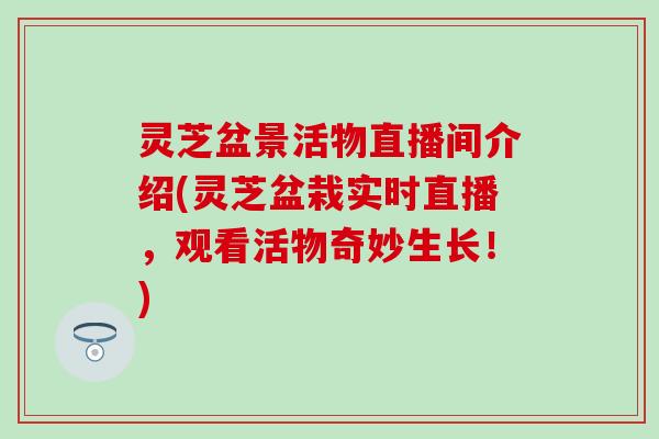 灵芝盆景活物直播间介绍(灵芝盆栽实时直播，观看活物奇妙生长！)