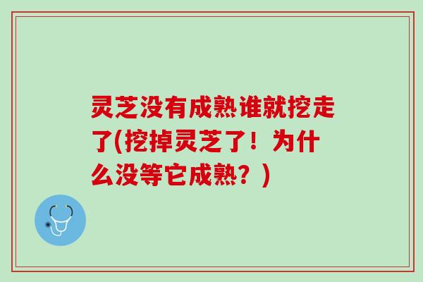 灵芝没有成熟谁就挖走了(挖掉灵芝了！为什么没等它成熟？)