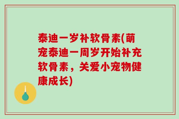 泰迪一岁补软骨素(萌宠泰迪一周岁开始补充软骨素，关爱小宠物健康成长)