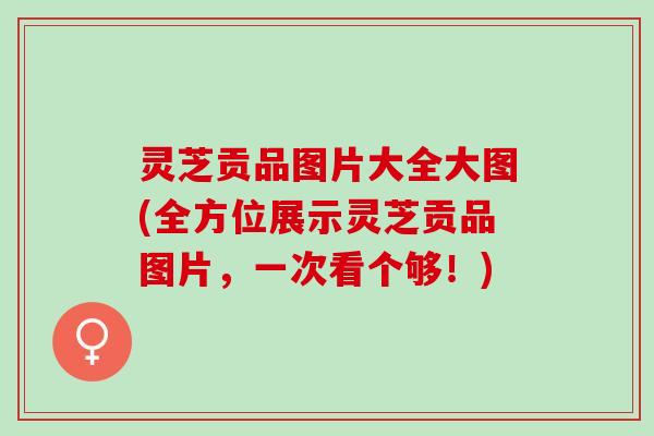 灵芝贡品图片大全大图(全方位展示灵芝贡品图片，一次看个够！)