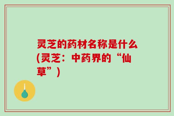 灵芝的药材名称是什么(灵芝：中药界的“仙草”)
