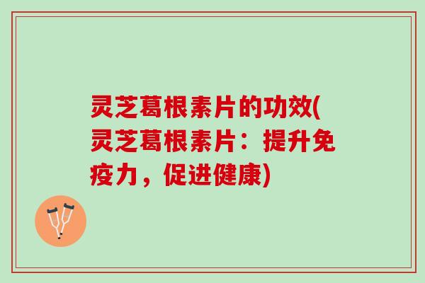 灵芝葛根素片的功效(灵芝葛根素片：提升免疫力，促进健康)