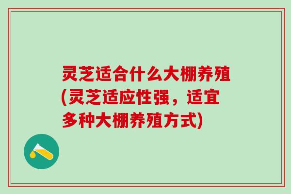 灵芝适合什么大棚养殖(灵芝适应性强，适宜多种大棚养殖方式)