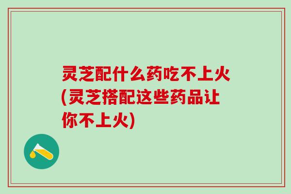 灵芝配什么药吃不上火(灵芝搭配这些药品让你不上火)