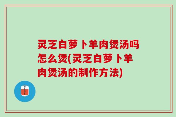 灵芝白萝卜羊肉煲汤吗怎么煲(灵芝白萝卜羊肉煲汤的制作方法)