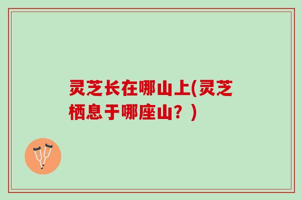 灵芝长在哪山上(灵芝栖息于哪座山？)