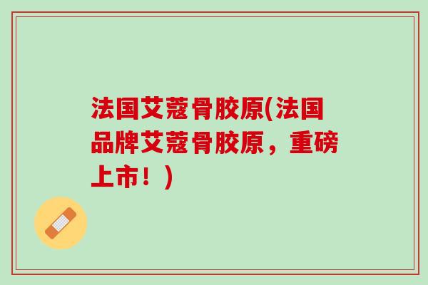 法国艾蔻骨胶原(法国品牌艾蔻骨胶原，重磅上市！)