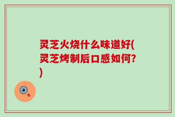 灵芝火烧什么味道好(灵芝烤制后口感如何？)