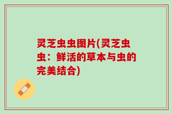 灵芝虫虫图片(灵芝虫虫：鲜活的草本与虫的完美结合)