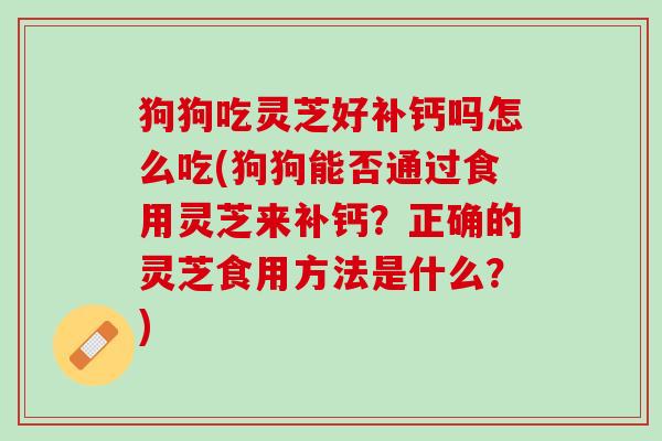 狗狗吃灵芝好补钙吗怎么吃(狗狗能否通过食用灵芝来补钙？正确的灵芝食用方法是什么？)
