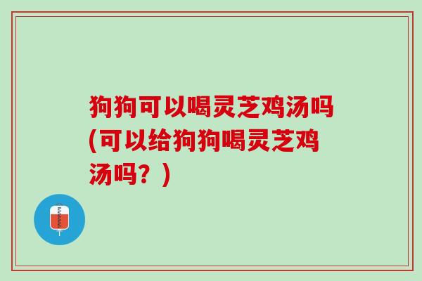 狗狗可以喝灵芝鸡汤吗(可以给狗狗喝灵芝鸡汤吗？)