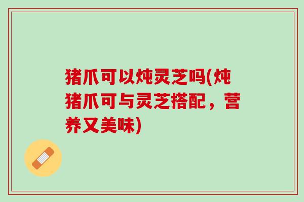 猪爪可以炖灵芝吗(炖猪爪可与灵芝搭配，营养又美味)