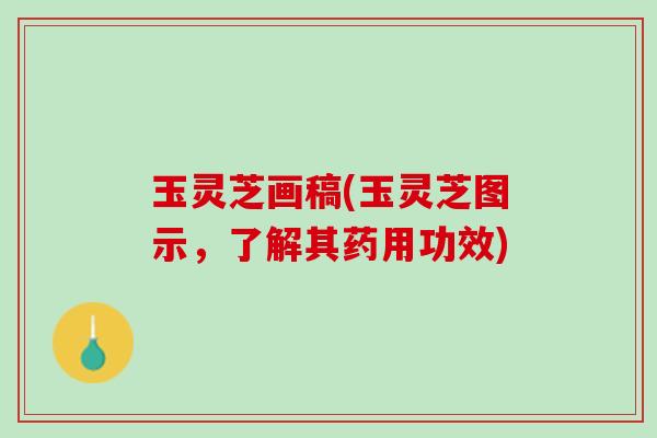 玉灵芝画稿(玉灵芝图示，了解其药用功效)