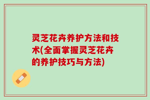 灵芝花卉养护方法和技术(全面掌握灵芝花卉的养护技巧与方法)