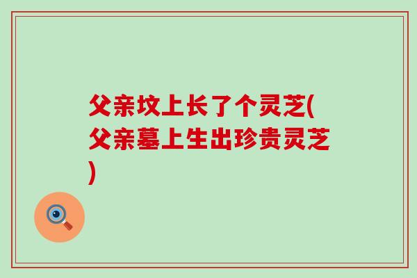 父亲坟上长了个灵芝(父亲墓上生出珍贵灵芝) 父亲坟上长了个灵芝(父亲墓上生出珍贵灵芝)