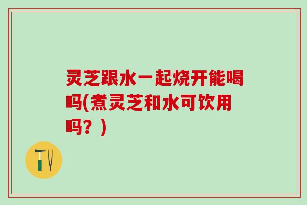 灵芝跟水一起烧开能喝吗(煮灵芝和水可饮用吗？)