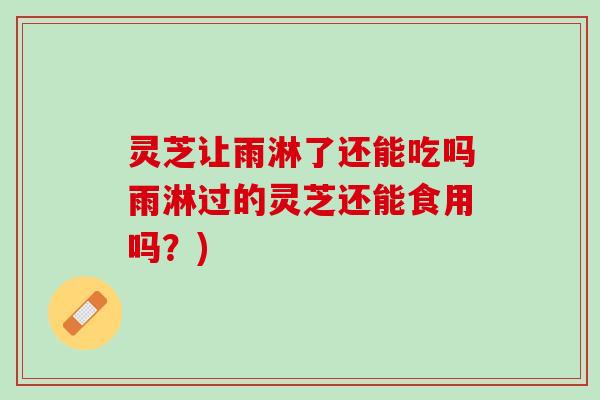 灵芝让雨淋了还能吃吗雨淋过的灵芝还能食用吗？)