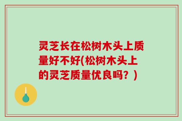 灵芝长在松树木头上质量好不好(松树木头上的灵芝质量优良吗？)