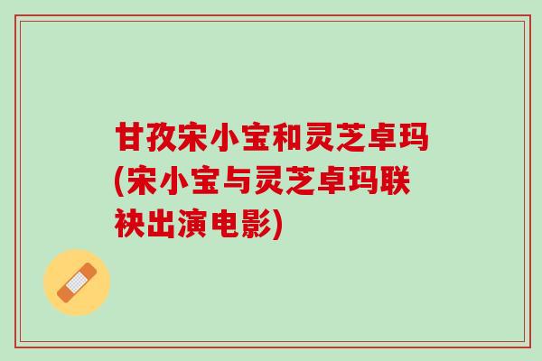 甘孜宋小宝和灵芝卓玛(宋小宝与灵芝卓玛联袂出演电影)