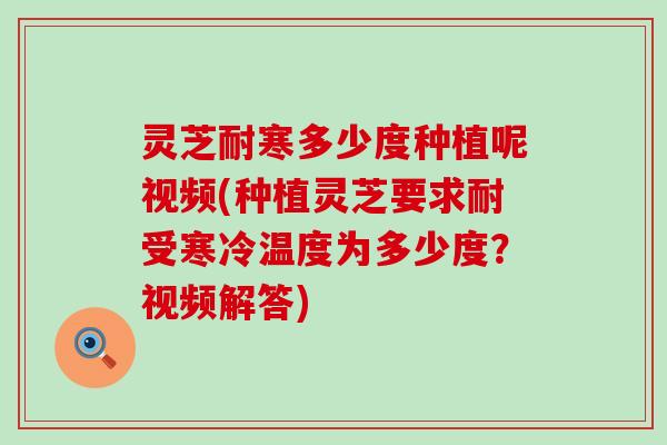 灵芝耐寒多少度种植呢视频(种植灵芝要求耐受寒冷温度为多少度？视频解答)