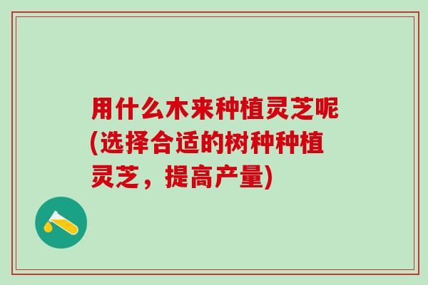 用什么木来种植灵芝呢(选择合适的树种种植灵芝，提高产量)