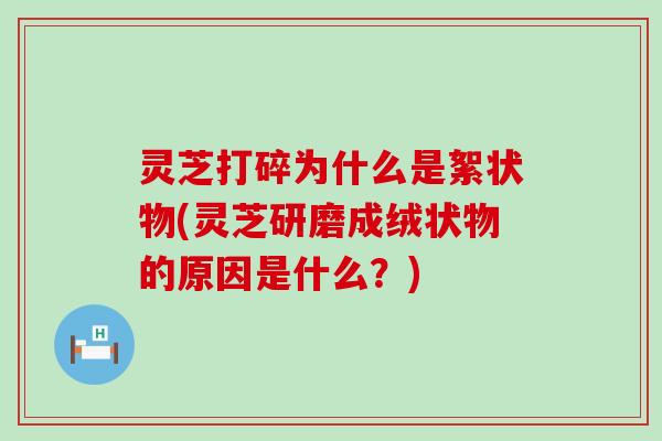 灵芝打碎为什么是絮状物(灵芝研磨成绒状物的原因是什么？)