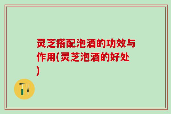 灵芝搭配泡酒的功效与作用(灵芝泡酒的好处)