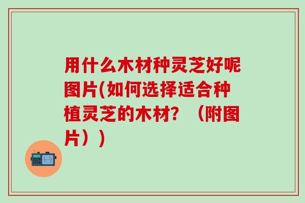 用什么木材种灵芝好呢图片(如何选择适合种植灵芝的木材？（附图片）)