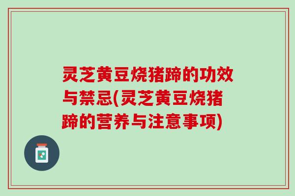 灵芝黄豆烧猪蹄的功效与禁忌(灵芝黄豆烧猪蹄的营养与注意事项)