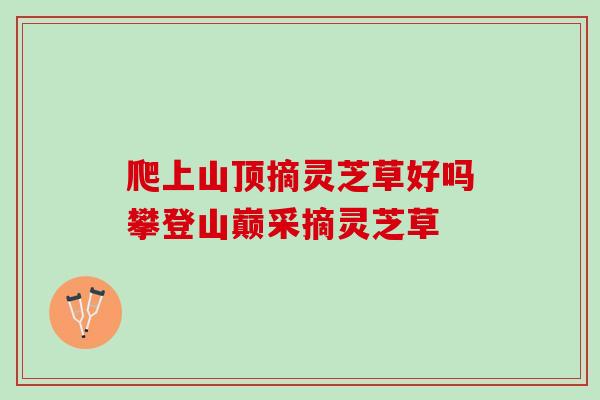 爬上山顶摘灵芝草好吗攀登山巅采摘灵芝草