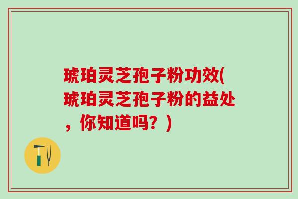 琥珀灵芝孢子粉功效(琥珀灵芝孢子粉的益处，你知道吗？)