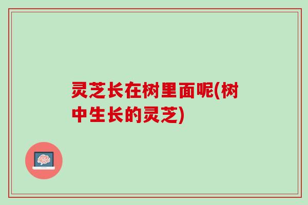 灵芝长在树里面呢(树中生长的灵芝)