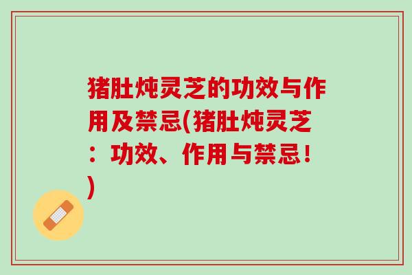 猪肚炖灵芝的功效与作用及禁忌(猪肚炖灵芝：功效、作用与禁忌！)