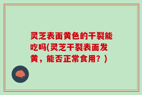 灵芝表面黄色的干裂能吃吗(灵芝干裂表面发黄，能否正常食用？)