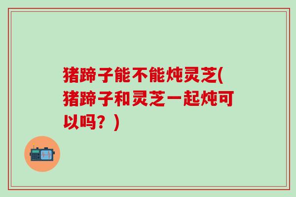 猪蹄子能不能炖灵芝(猪蹄子和灵芝一起炖可以吗？)