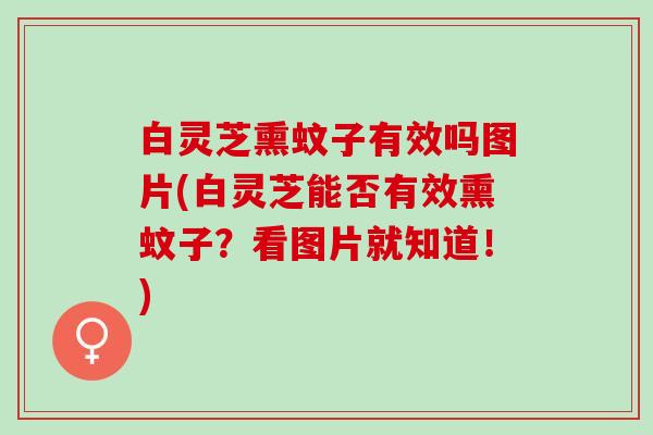 白灵芝熏蚊子有效吗图片(白灵芝能否有效熏蚊子？看图片就知道！)