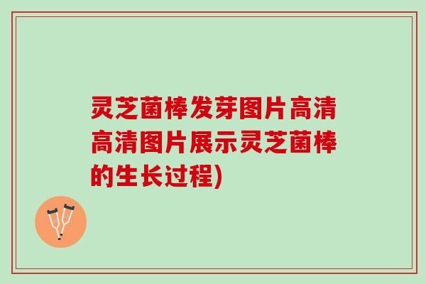 灵芝菌棒发芽图片高清高清图片展示灵芝菌棒的生长过程)