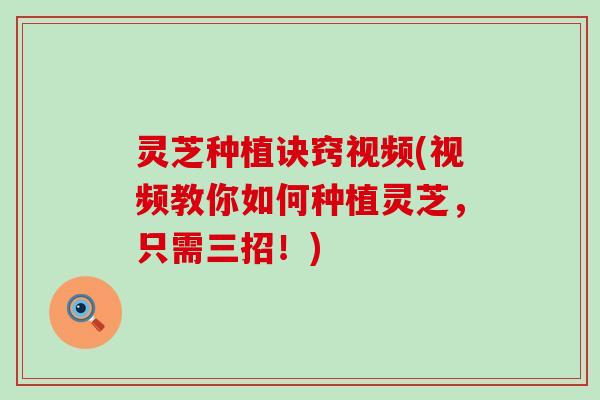 灵芝种植诀窍视频(视频教你如何种植灵芝，只需三招！)