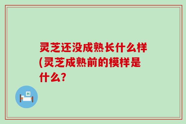 灵芝还没成熟长什么样(灵芝成熟前的模样是什么？