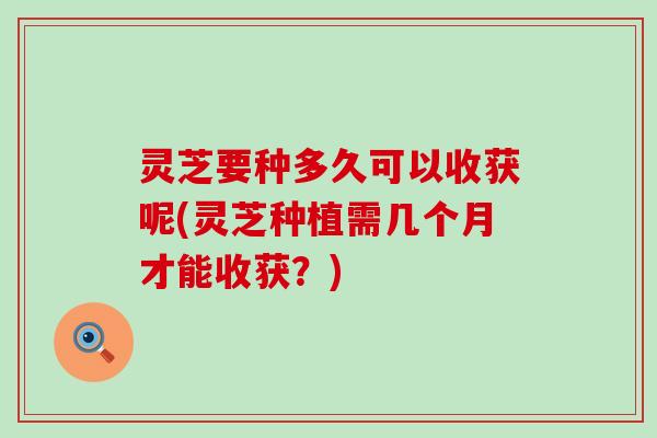 灵芝要种多久可以收获呢(灵芝种植需几个月才能收获？)