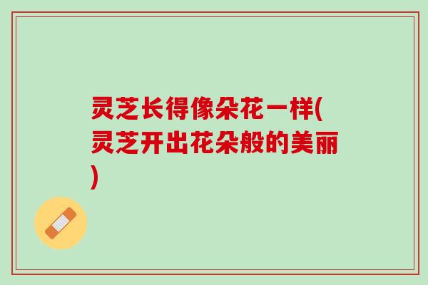 灵芝长得像朵花一样(灵芝开出花朵般的美丽)