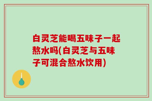 白灵芝能喝五味子一起熬水吗(白灵芝与五味子可混合熬水饮用)