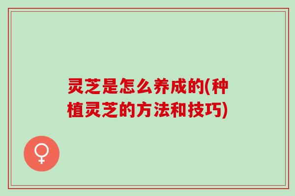 灵芝是怎么养成的(种植灵芝的方法和技巧)
