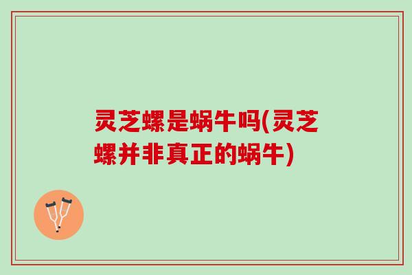 灵芝螺是蜗牛吗(灵芝螺并非真正的蜗牛)