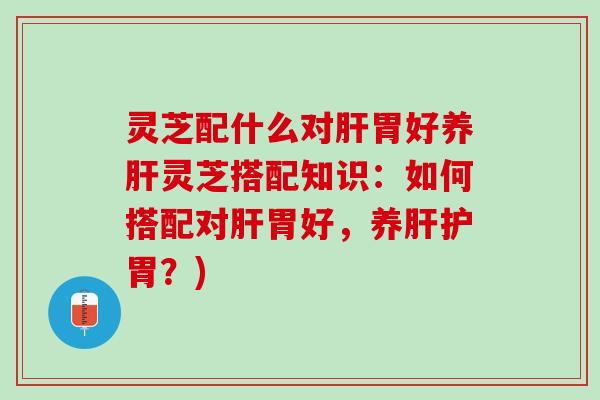 灵芝配什么对肝胃好养肝灵芝搭配知识：如何搭配对肝胃好，养肝护胃？)