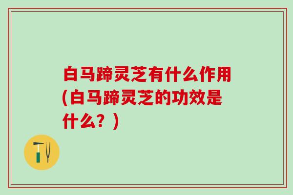 白马蹄灵芝有什么作用(白马蹄灵芝的功效是什么？)
