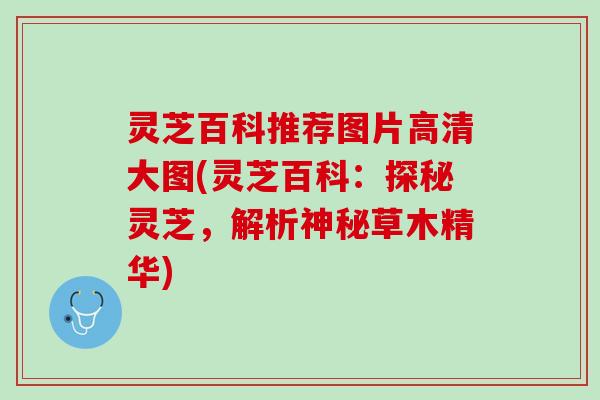 灵芝百科推荐图片高清大图(灵芝百科：探秘灵芝，解析神秘草木精华)