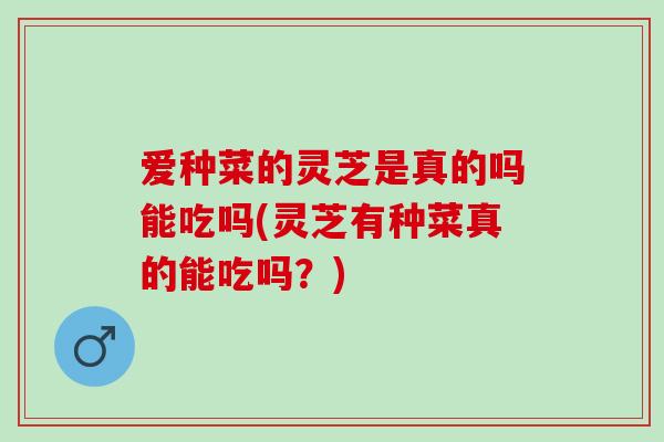 爱种菜的灵芝是真的吗能吃吗(灵芝有种菜真的能吃吗？)