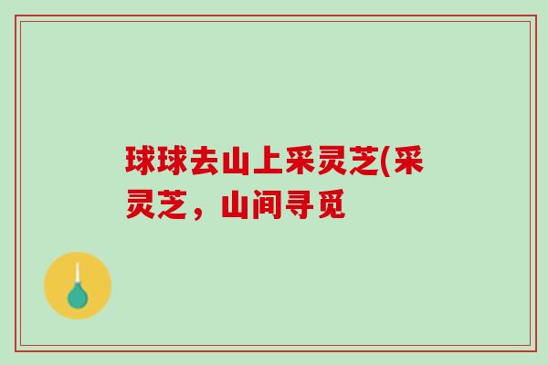球球去山上采灵芝(采灵芝，山间寻觅