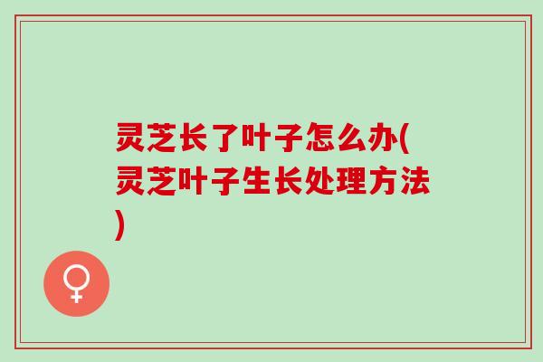 灵芝长了叶子怎么办(灵芝叶子生长处理方法)